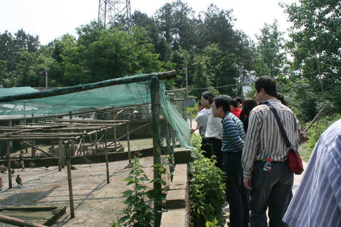 Jackpot(�й���)�ٷ���վ